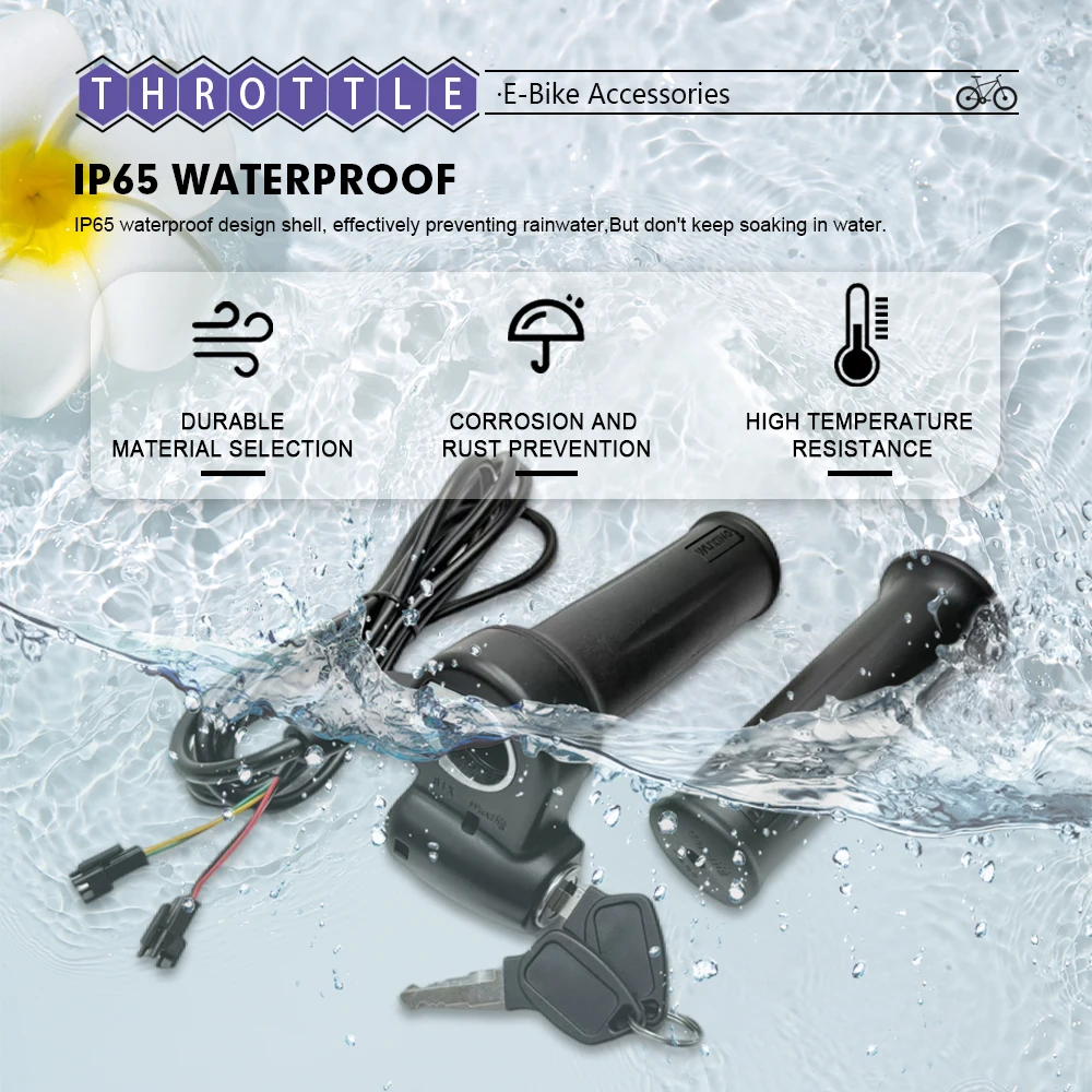 

60A/80A E-bike Brushless Motor Square wave Controller with XT150andXT90 ,Display with speed limit 25km/h，81X with Lock throttle