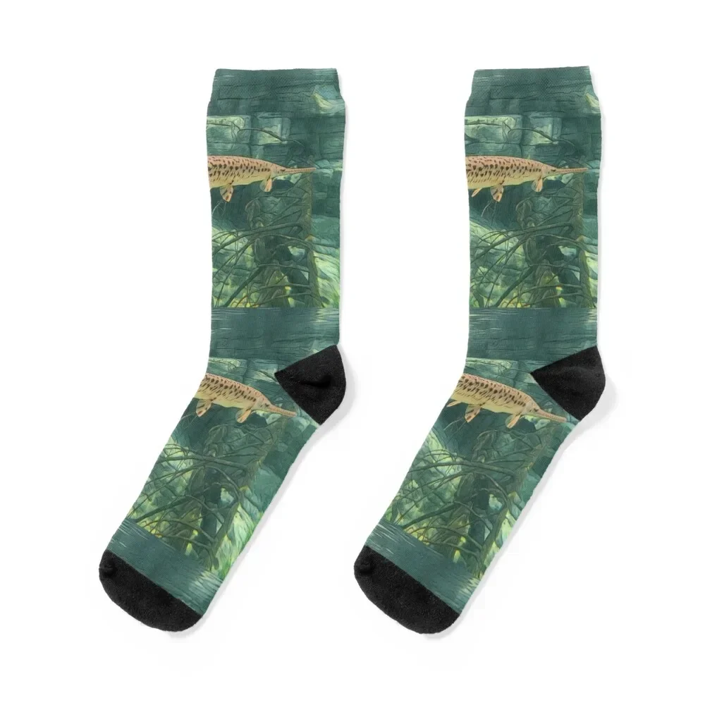 The Gar Socks Cute … - image