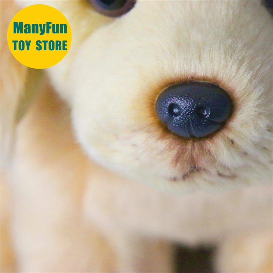 Jouet en peluche réaliste Labrador Retriever-poupée de chien en peluche réaliste, peluche Golden Retriever, poupée de simulation cadeau Kawaii