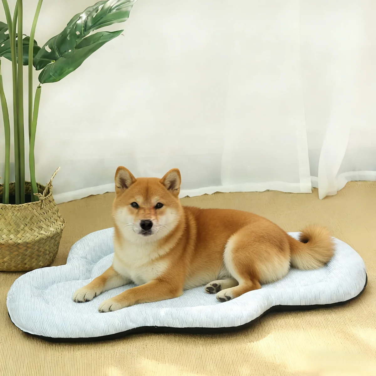 Blue Cloud Haustiermatte für Alle Jahreszeiten, Atmungsaktives Waschbares Hunde- und Katzenbett, Weiche Schlafunterlage für Sommer, Frühling, Herbst, Rutschfeste Hundebettenauflage
