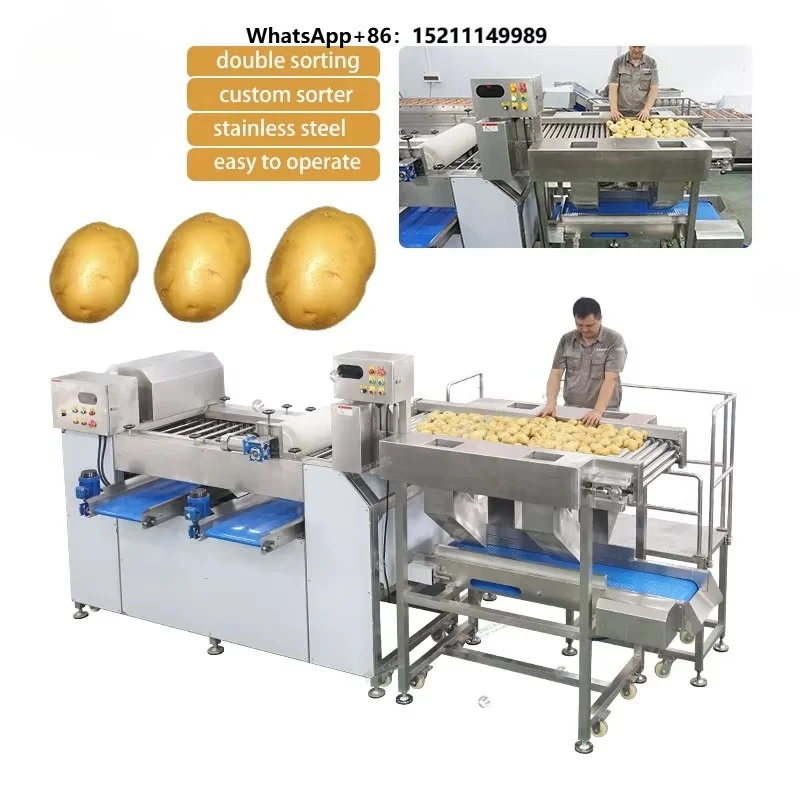 Customized Dual Sorter for Vegetable and Fruit 500-2000kg/h Stainless Steel Potatoes Sorting Grading and Trimming Machine