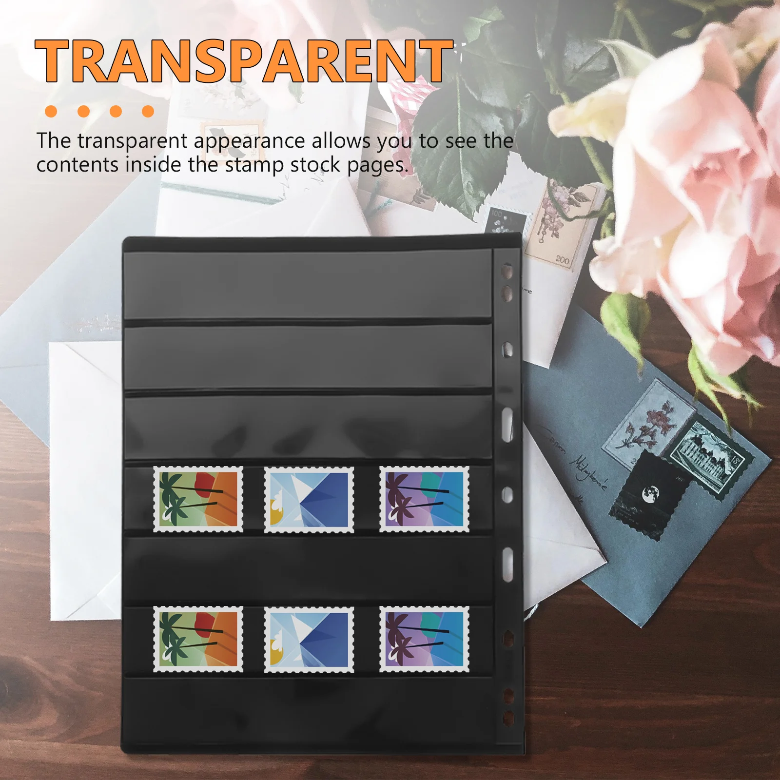 

Collection Album Transparent Stock Pages For Coin Holders Stamps Collecting Supplies Plastic Stamp Collecting Album Seven