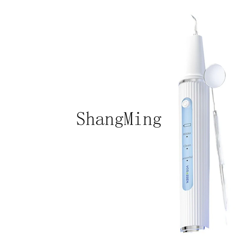 

ZYY ultrasonic visual cleaning tooth dirt removal calculus artifact household electric