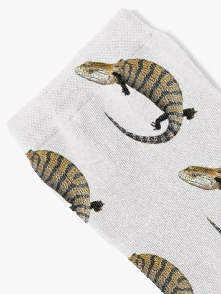 Blue Tongue Lizard Skink Socks sports socks crazy socks christmas sock Socks Men's Women's