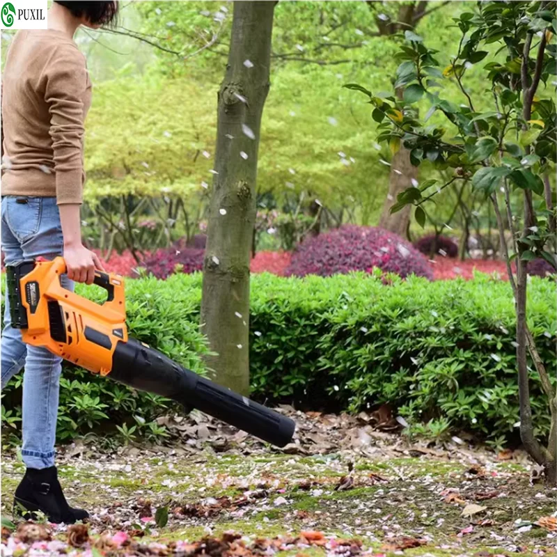 Asciugacapelli industriale ad alta potenza ricaricabile asciugacapelli da strada batteria al litio 58V asciugacapelli ad alta potenza spazzaneve rimozione polvere