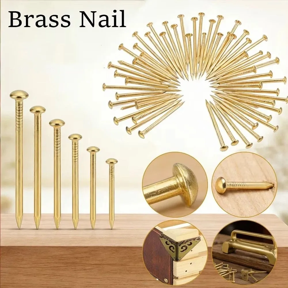 100 pcs Pure Brass Brass Nails Round Head Rust-proof Round Head Pins Water-proof Diameter 1.2 / 1.5 / 2 mm Small Brass Nails