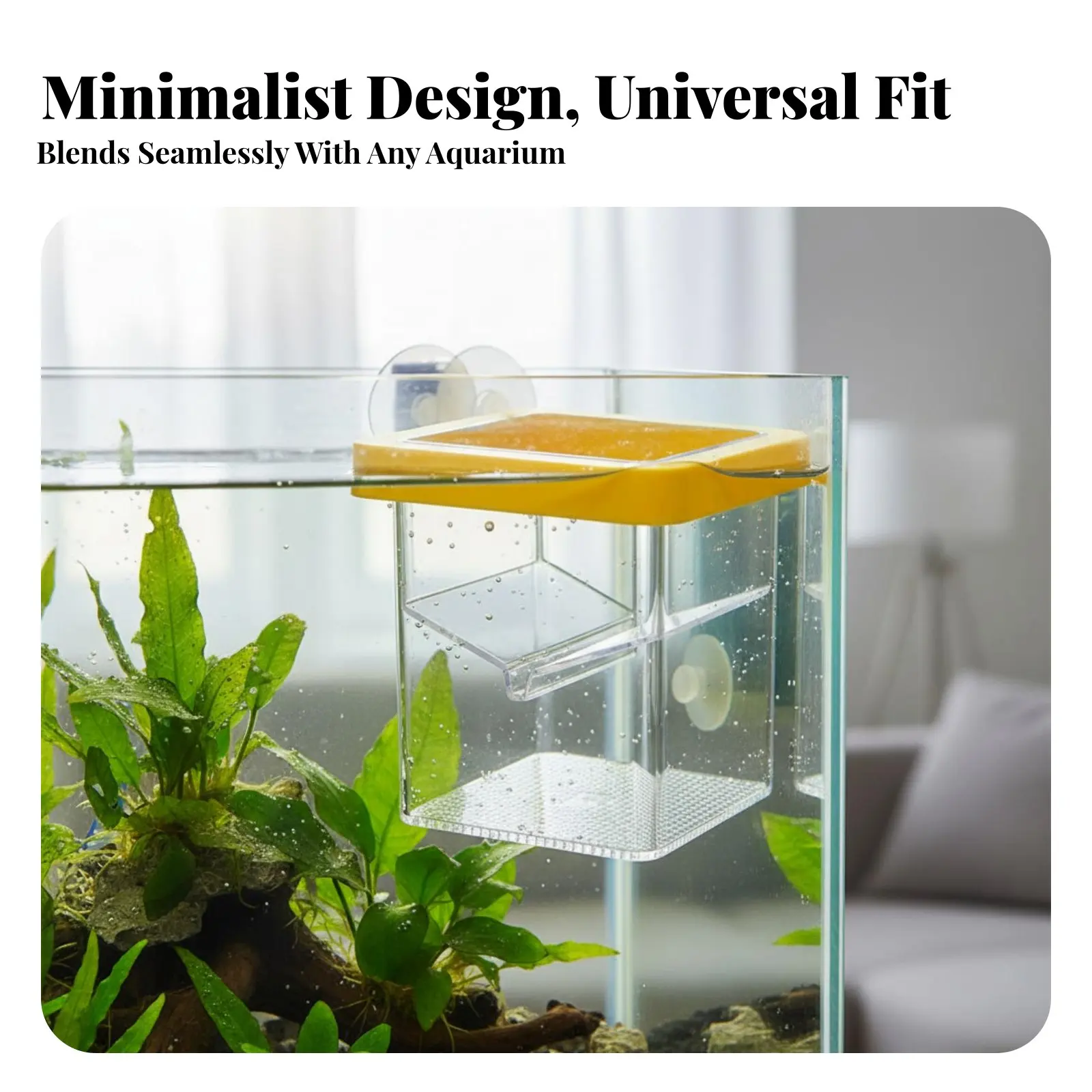 

Buoyant Aquatic Creature Breeder Box High Clarity Buoyant Aquatic Creature Separation Box Fry Separation Hatchery Good Water