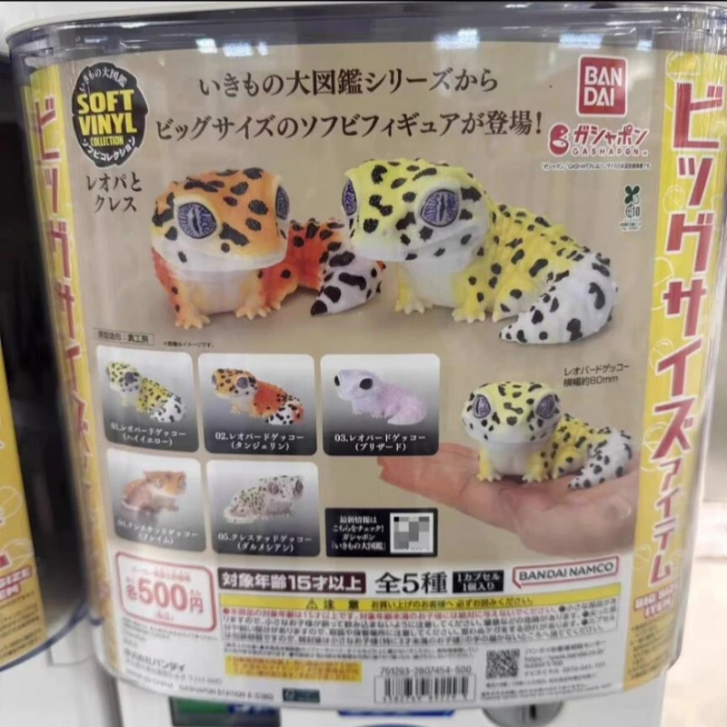 في الأوراق المالية! موسوعة بانداي البيولوجية الأصلية غاشابون – لعبة نموذج حيوانات واقعية من الفينيل الناعم ذو الذيل الدهون والمستقرة