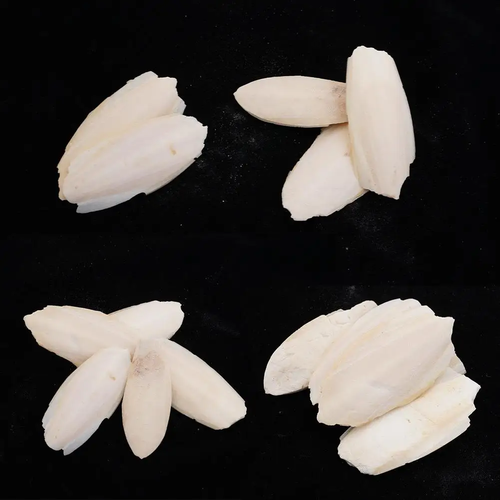 Natürliches Kaulquappenknochen-Kauspielzeug für Papageien, Wellensittiche, Hamster und Kleintiere, zum Zähneputzen, Kalziumergänzung, Vogelzubehör, gesund – Detail 8