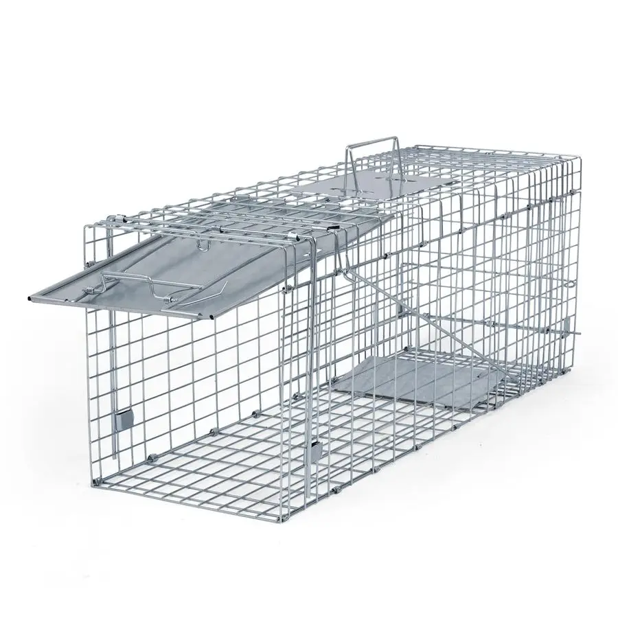 

Way Folding 32 Inch Live Humane Animal Trap Safe Traps for All Animals Raccoons, Cats, Groundhogs, Opossums 32 L x 10.2 W x 12.2
