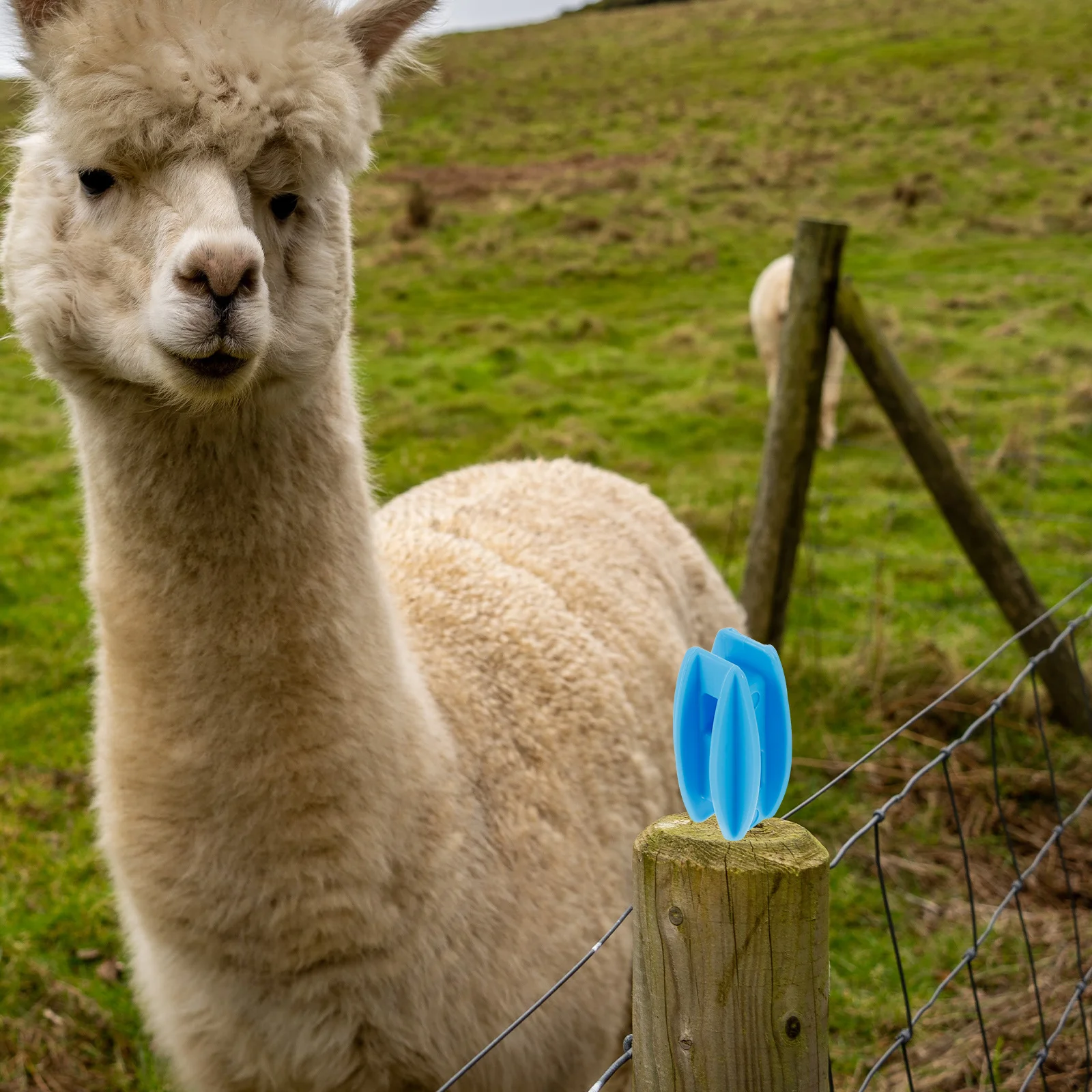 

10pcs Electric Durable Wire Holding For Farm Livestock Fencing Insulators Insulators Diy Grid System Accessories