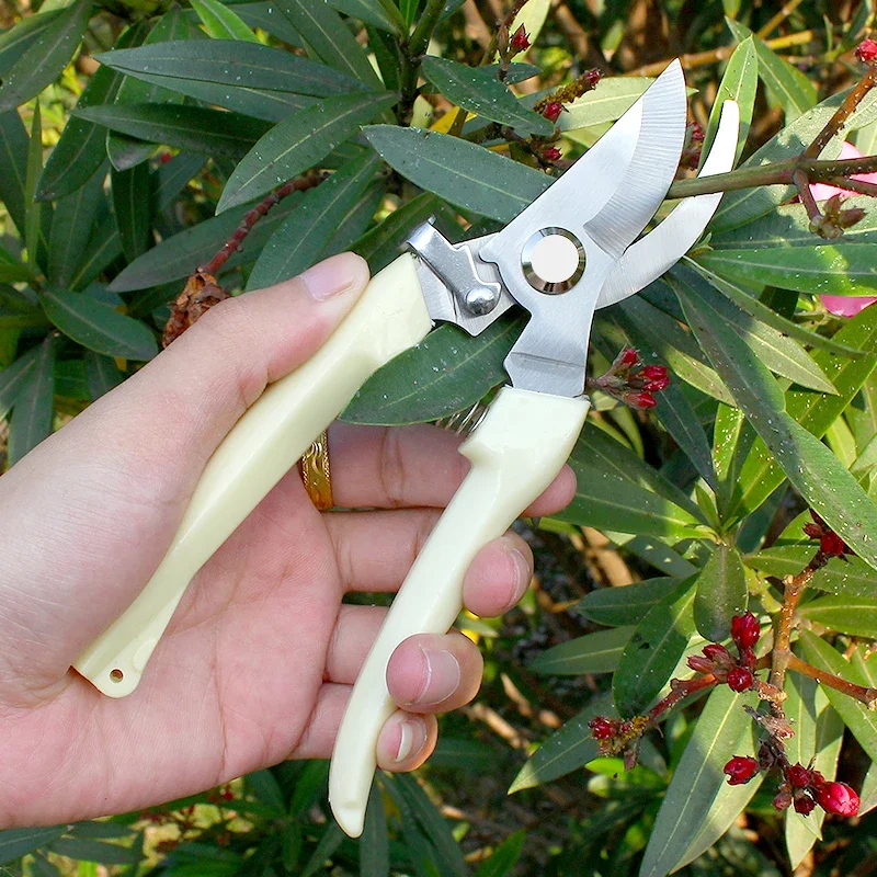 

Gardening shears Stainless steel fruit branches pruning shears Garden fruit wood grafting pruning flower branches, three