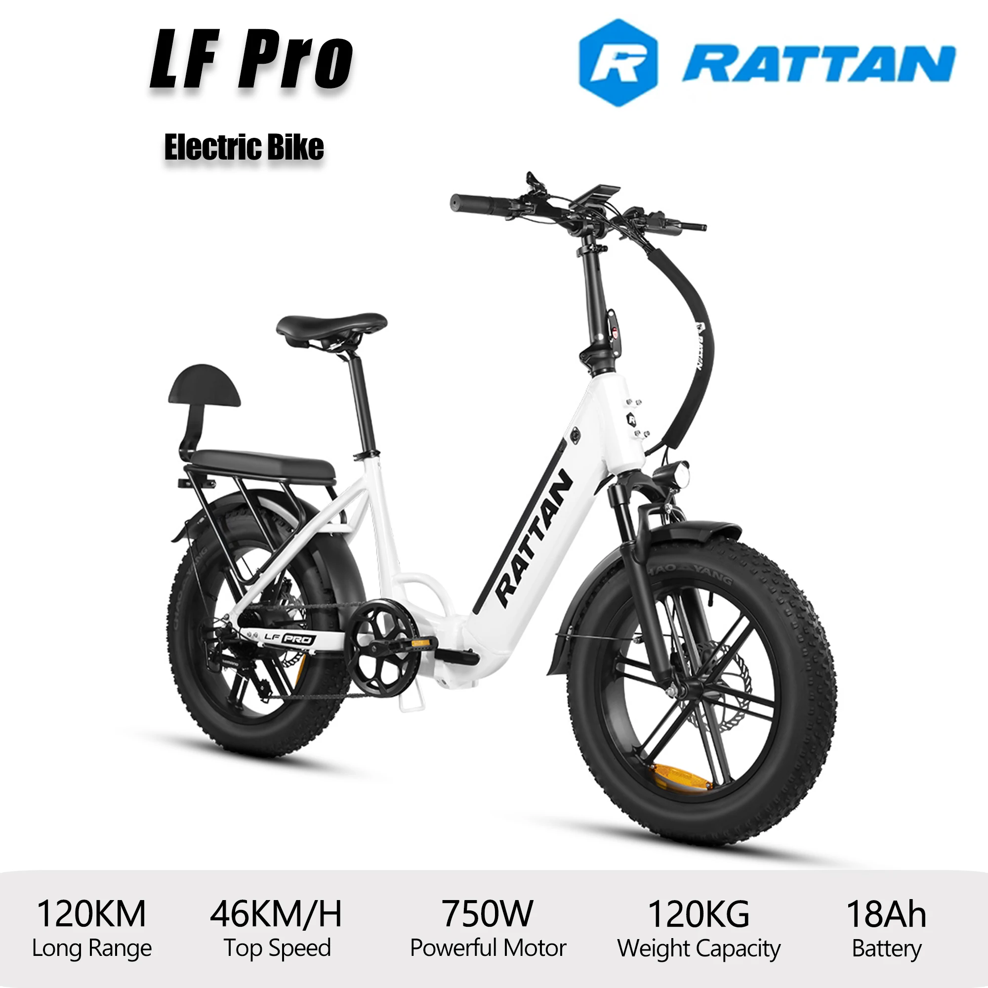 Vélo électrique RATTAN LF Pro, moteur sans balais 750W, 46 km/h, autonomie 120 km, batterie 18 Ah, freins hydrauliques, vélo électrique pour adultes