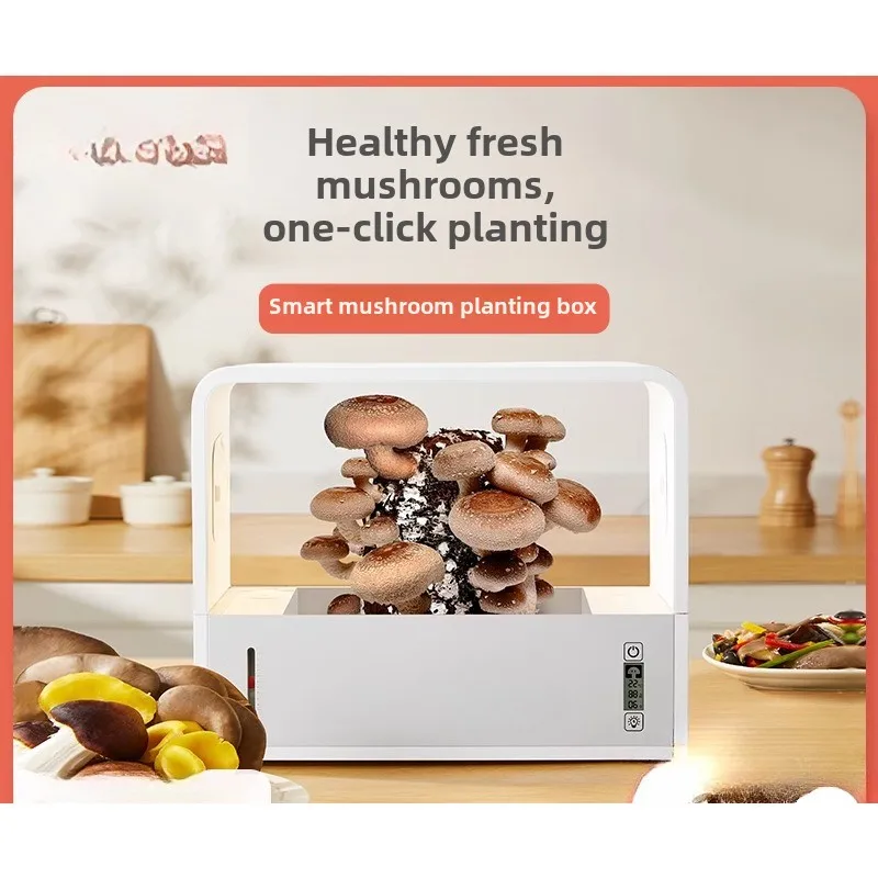 Smart Mushroom Ecological Box Shiitake Mushroom Cultivator Indoor Soilless Cultivation Mushroom Cultivation Box