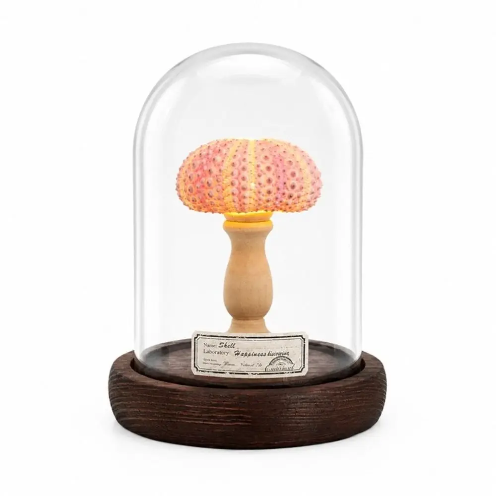 Vintage Style Handmade Shell Lamp Flicker Free Novelty Design Sea Urchin Lamp Mini Size Soft Lighting Night Light Indoor Room