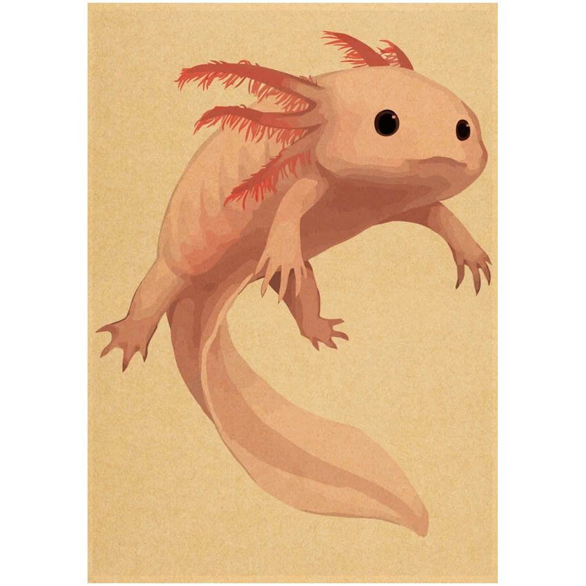 ajolote Axolotl poster Kraft Paper Print Poster Wall Art Decor Modern Home Room Bar Decoration Painting