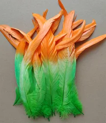 Feather Decoration! 50PCS/LOT! 28-35cm long CARNIVAL COQUE TAIL Feathers/ Two Tone,Ombre,Lime Green and Orange,Orange and Rose