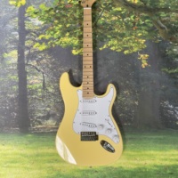 High quality Electric Guitar OEM, Maple neck and maple notched fingerboard, neck sandwich, polka dot inlaid guitar