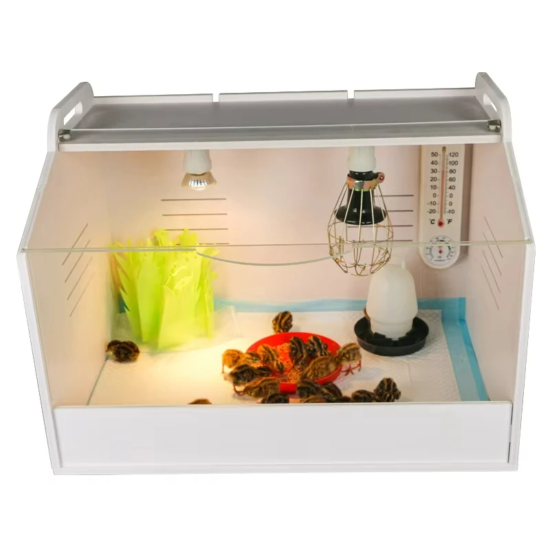 

Custom 48*30*32CM Poultry Farm Chicken Brooder Heater Chicken Brooder Boxes Small Size Duck Chicken Brooder For Chicks