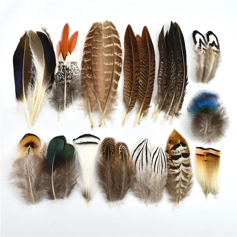 ريش الدراج الطبيعي الطاووس الصغير أوزة غينيا الطيور ريشة الدجاج حلم الماسك ديكور Diy بها بنفسك مجوهرات الحرف اليدوية الديكور #1