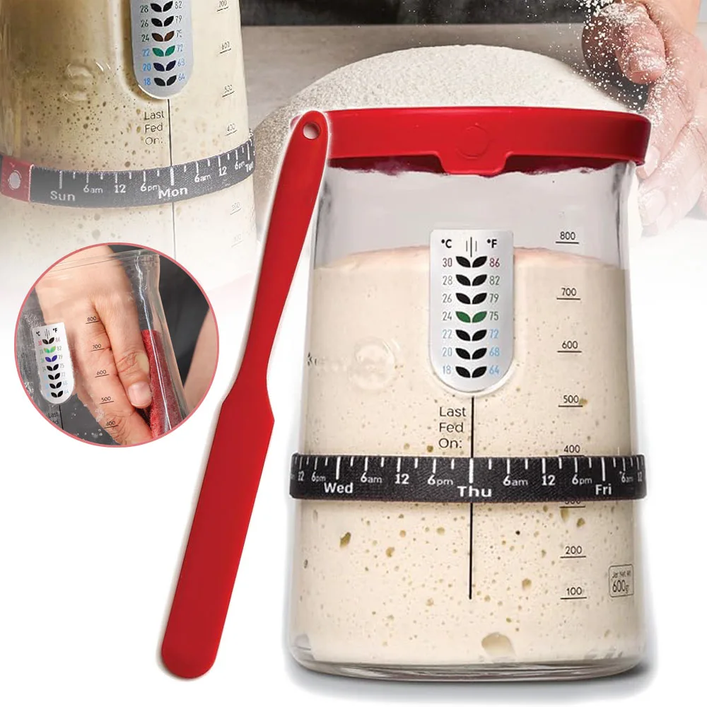 Kit per la fermentazione della massa madre in barattolo di vetro, barattolo con coperchio e promemoria per la ricostituzione, per ottenere il pane di massa madre perfetto. Set di strumenti per la