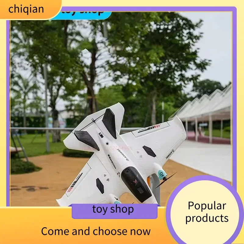 Atomrc pingüino doble motor baja altitud transversal FPV ala fija RC avión Control remoto avión portátil juguete para niños