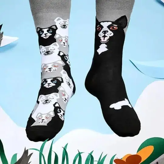 Novelty Cartoon Collie Dog Cute Crew Socks Unisex Women Men Couple Funny Harajuku Cotton Socks Hip Hop Skateboard Socks Gifts