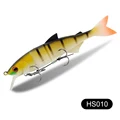 HS010