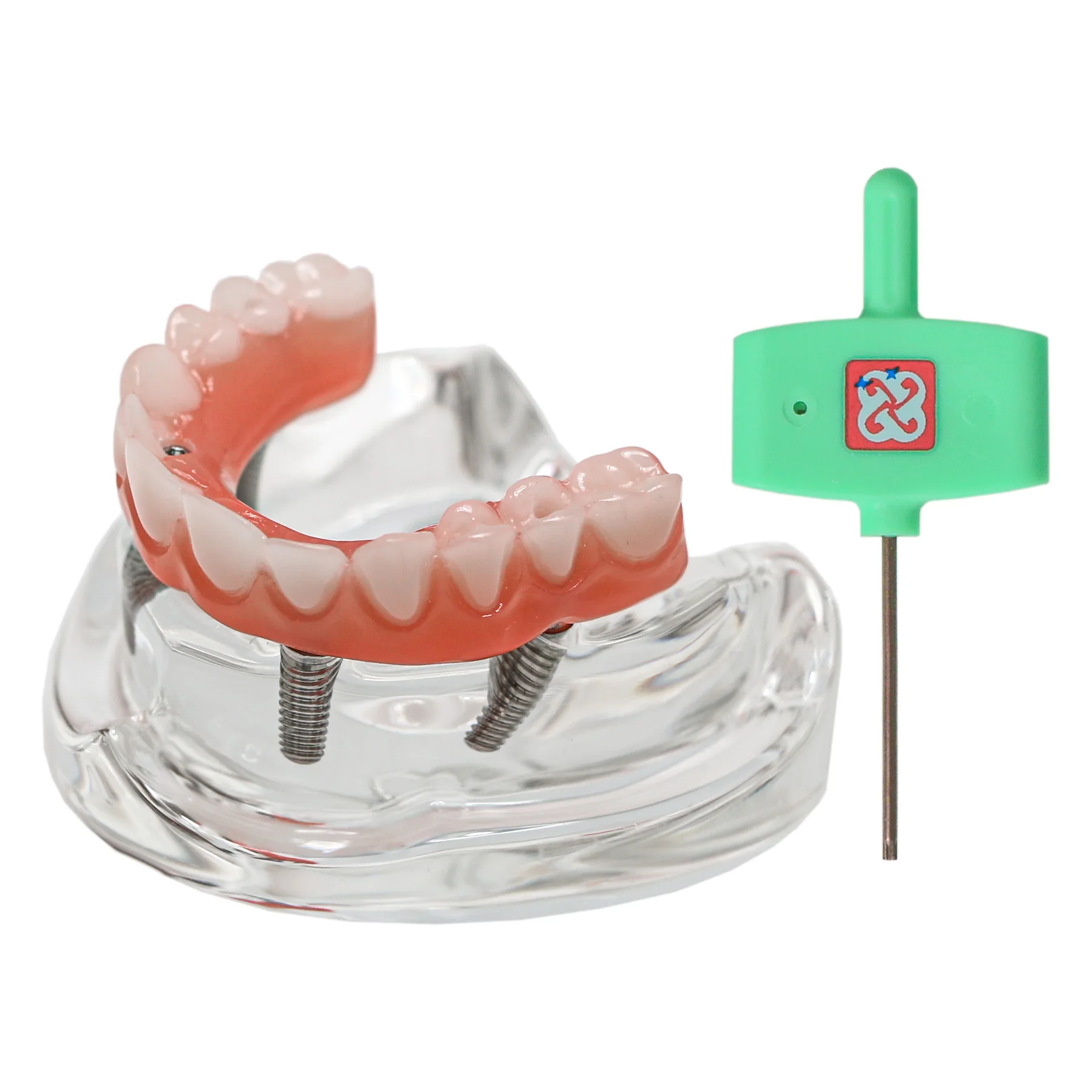 Thumbnail 3 - #26 Latest Dental Teaching Models Offers