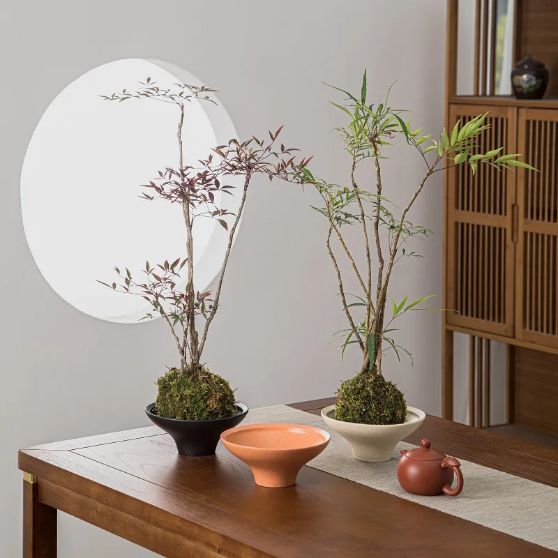 Nueva Maceta de Moda para Orquídeas, Bonsáis, Helechos de Bambú, Utensilios Hidropónicos, Maceta Simple No Porosa para Orquídeas