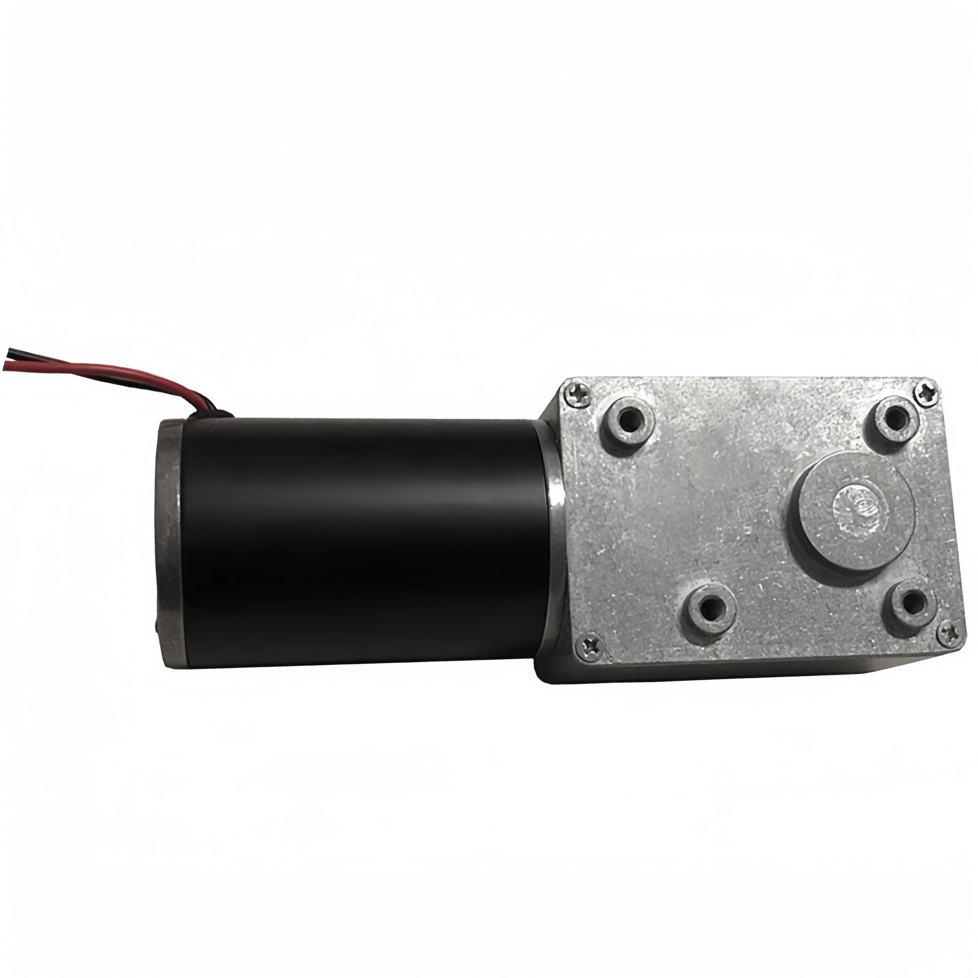 Worm gear reduction motor Best speed regulation motor High torque self-locking motor WS-5882GW-50ZY-DC24V-5rmp