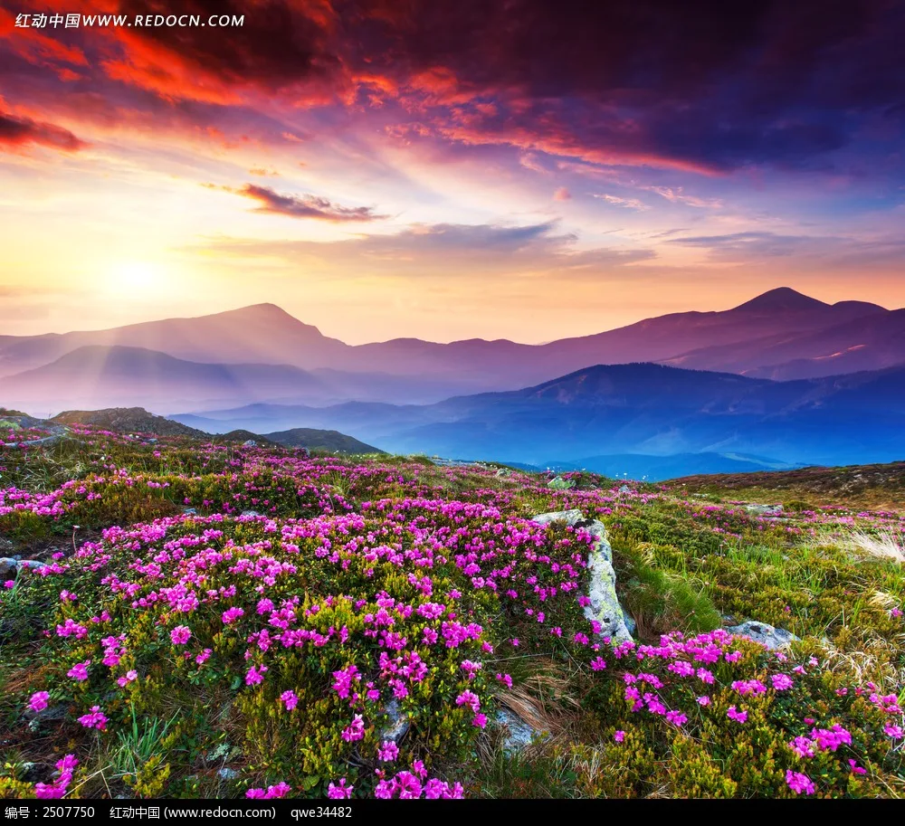 

Popular Cartoon Action Figure Toys PVC Model Home Room Decor