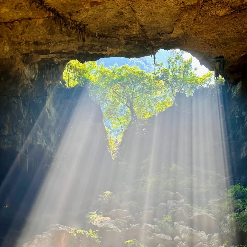 

JX Servo PDI-HV2070MG Digital Servo - 70KG Torque, High Voltage, Metal Gear, Coreless, for 1/5 RC Cars