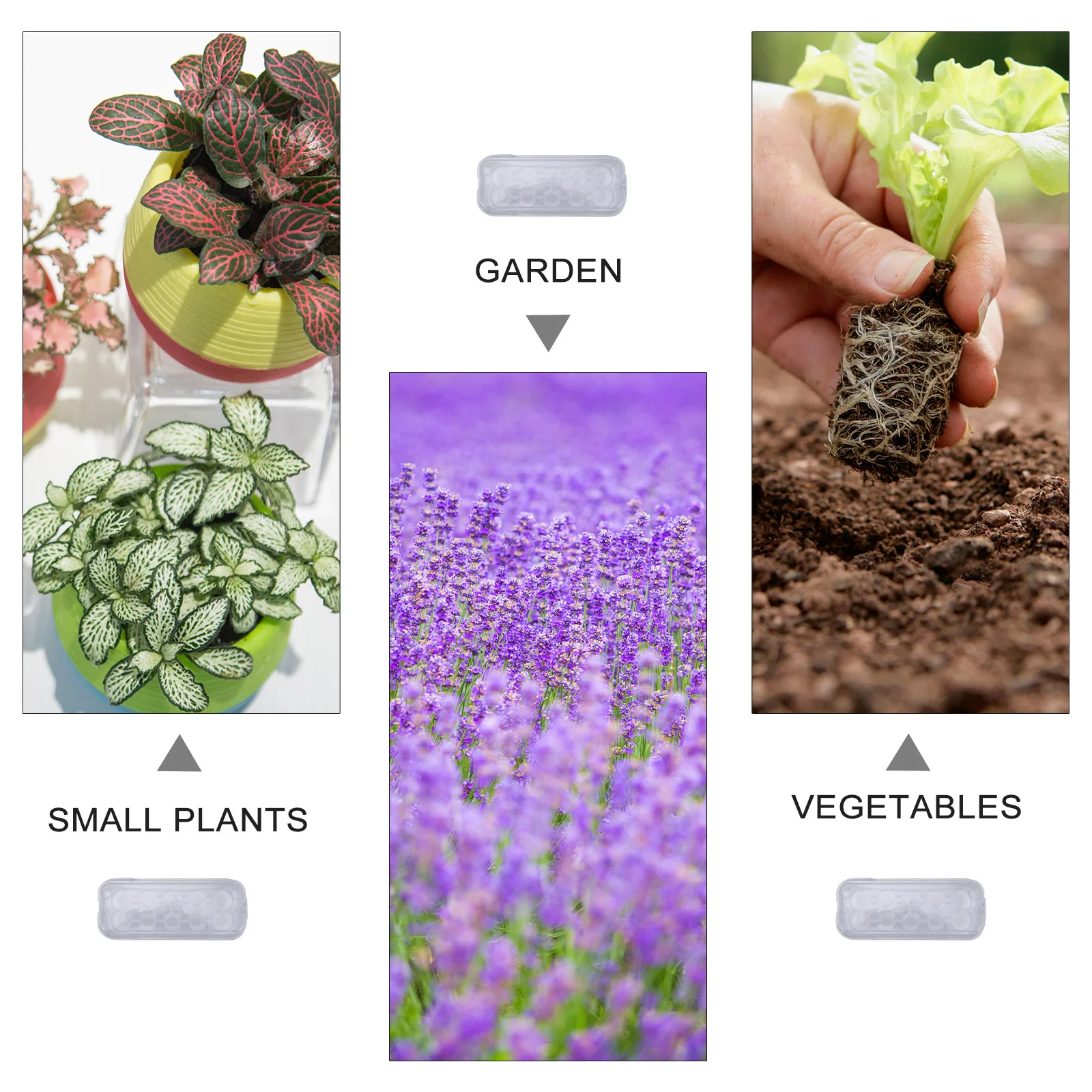 

5pcs Seedling Tray Plastic Clear Cover Moisture-Proof Warmth-Retaining For Plant Germination Nursery Pot Garden Vegetable