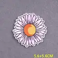 PE9054CT