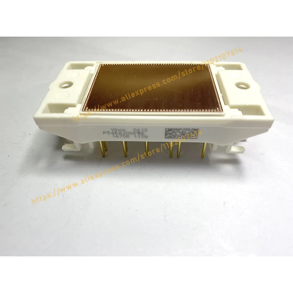 P546A2006 NEW MODULE