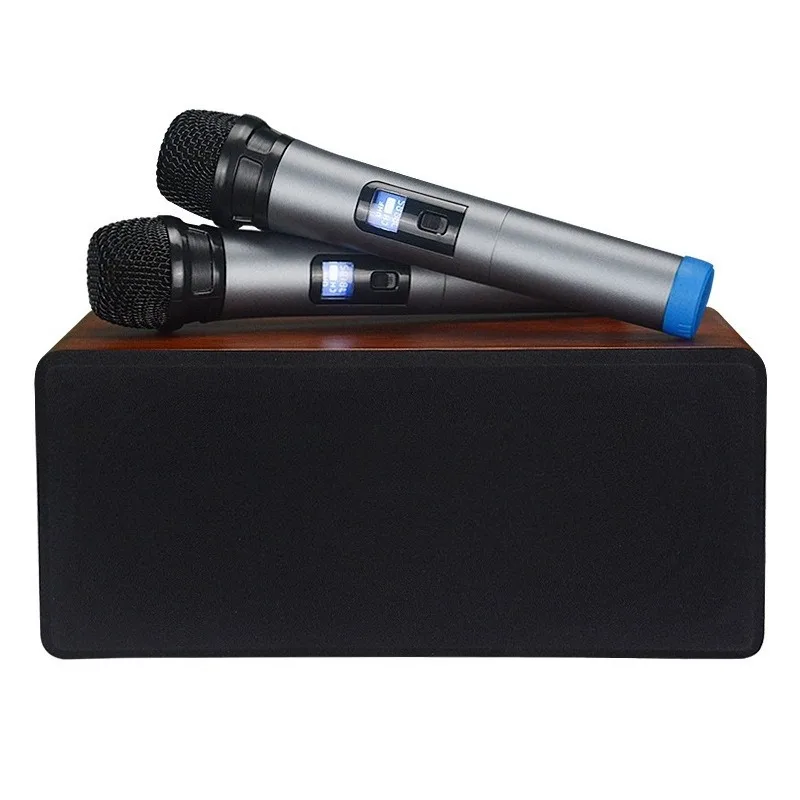 TV projector living room microphone singing stereo