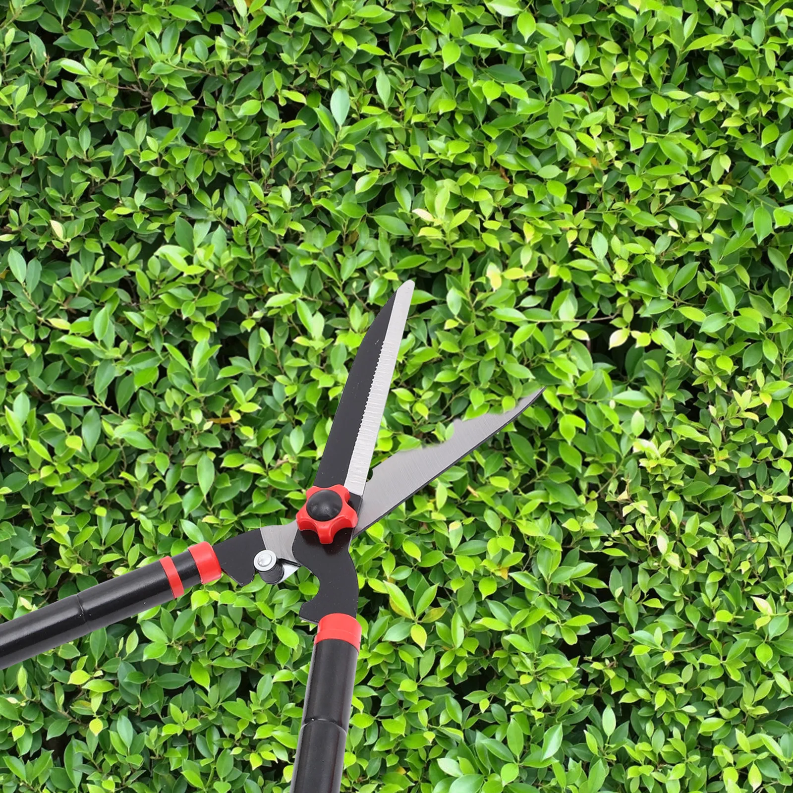 

Премиальные удлиненные ножницы для живой изгороди, садовый инструмент для обрезки, лезвие из стали SK5, противоударная резиновая рукоятка для кустов и деревьев
