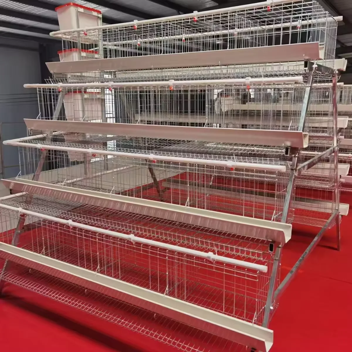 

Hot Sale High Quality Laminated a Type 4 Layer Chicken Coop Galvanized Automatic Feeding Equipment Necessary for Laying Hens