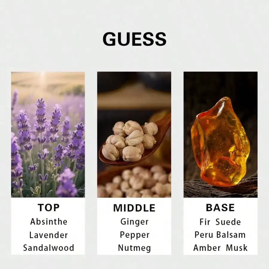 Guess Gold men Eau De Toilette Spray 75ml Aromatic Notes Men's Perfume Original Authentic Product Long-Lasting Fragrance