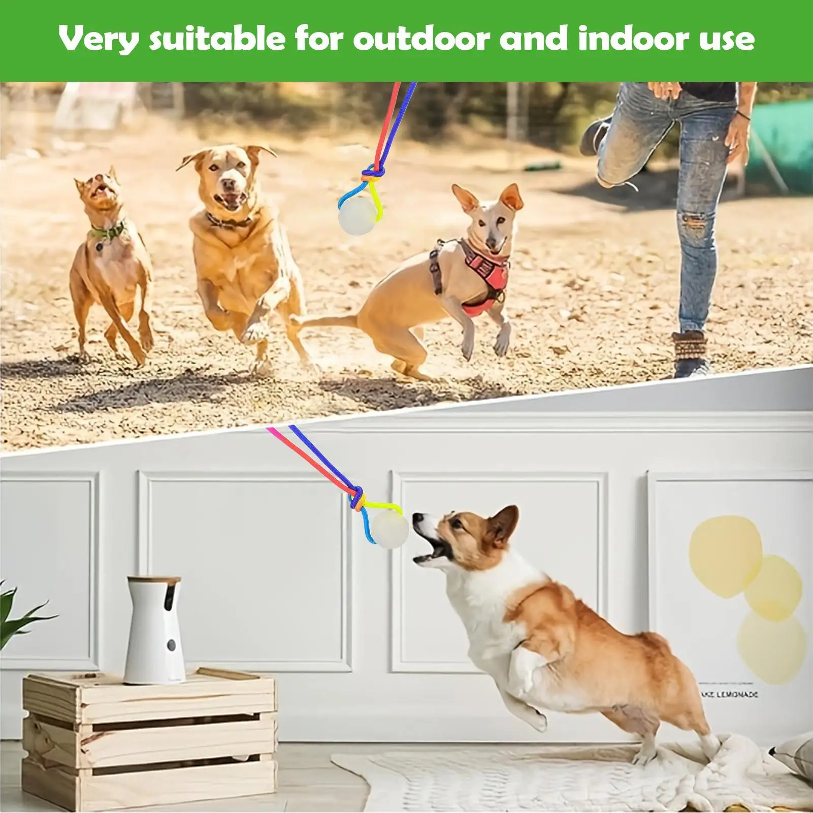 Thumbnail 4 - #14 Latest Puppy Fetch Toys Offers