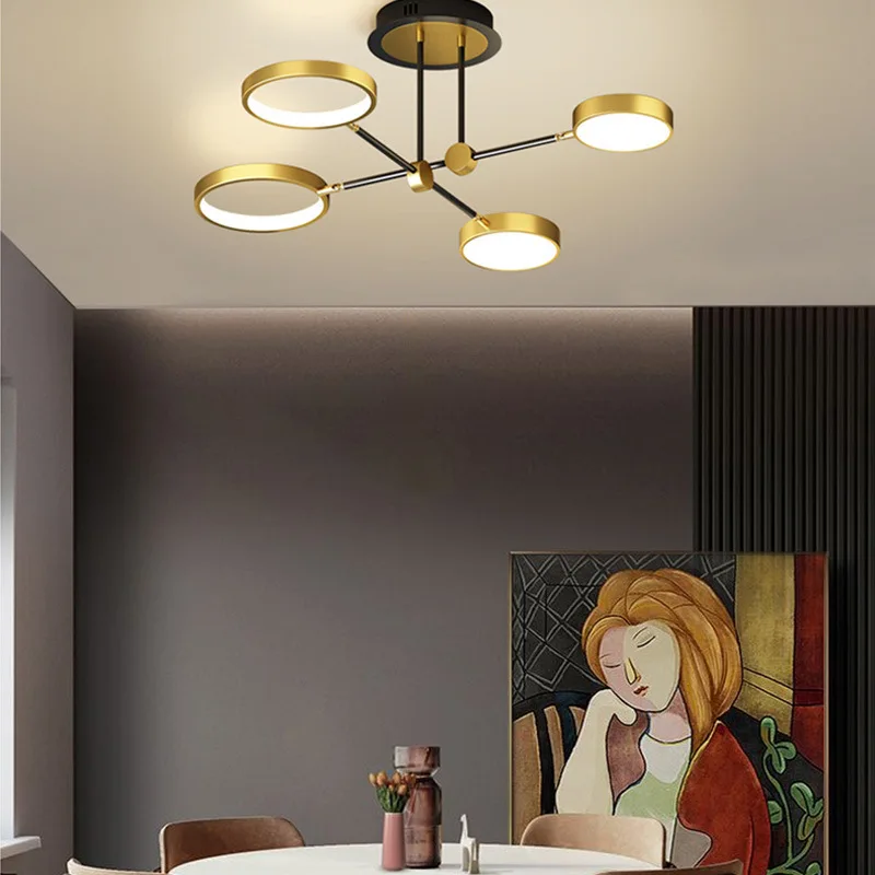 Luxury Ceiling Light for Living Room Bedroom Dining Room with Stepless Dimming Simple and Elegant Design Creative Sample Room