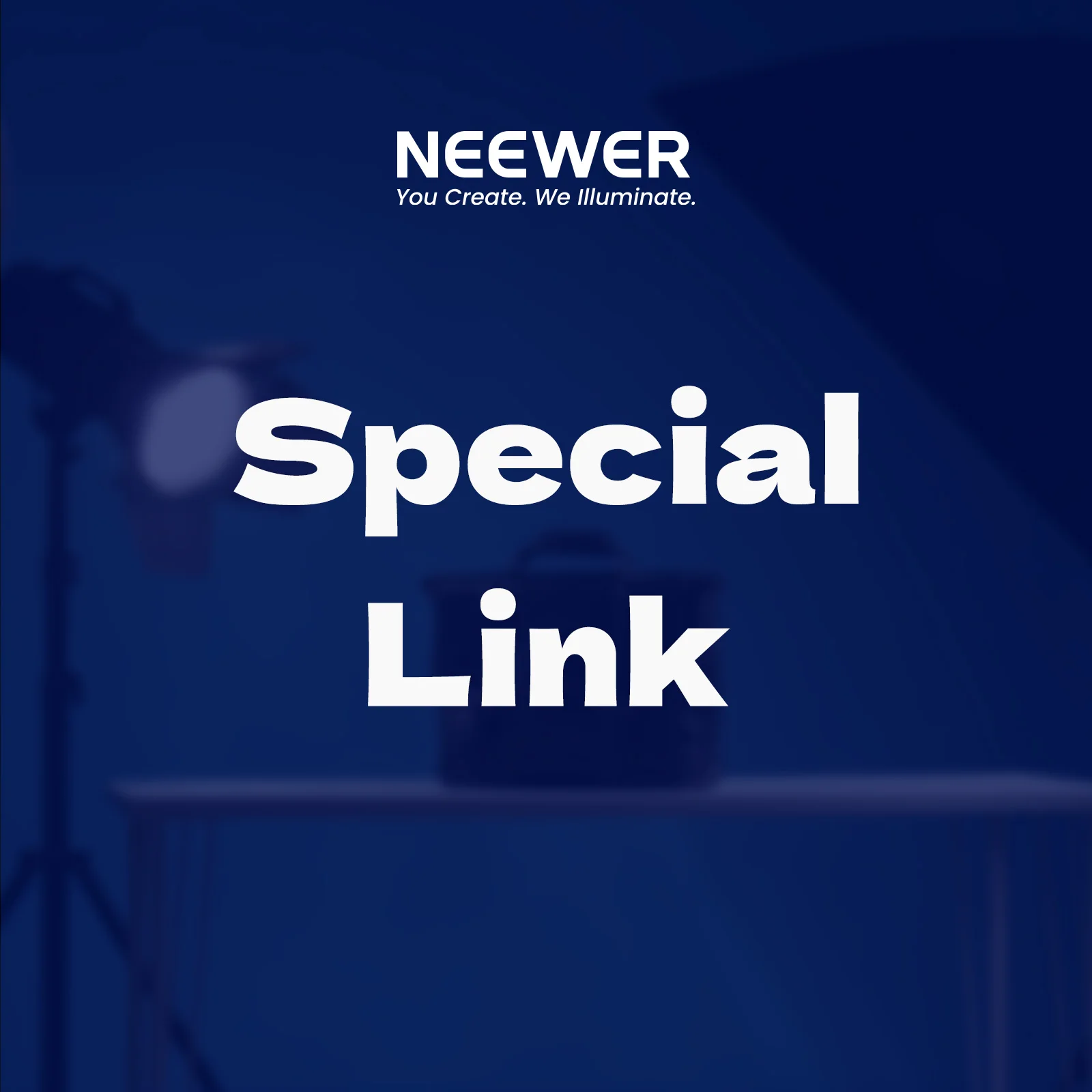 

special link (not place the order )