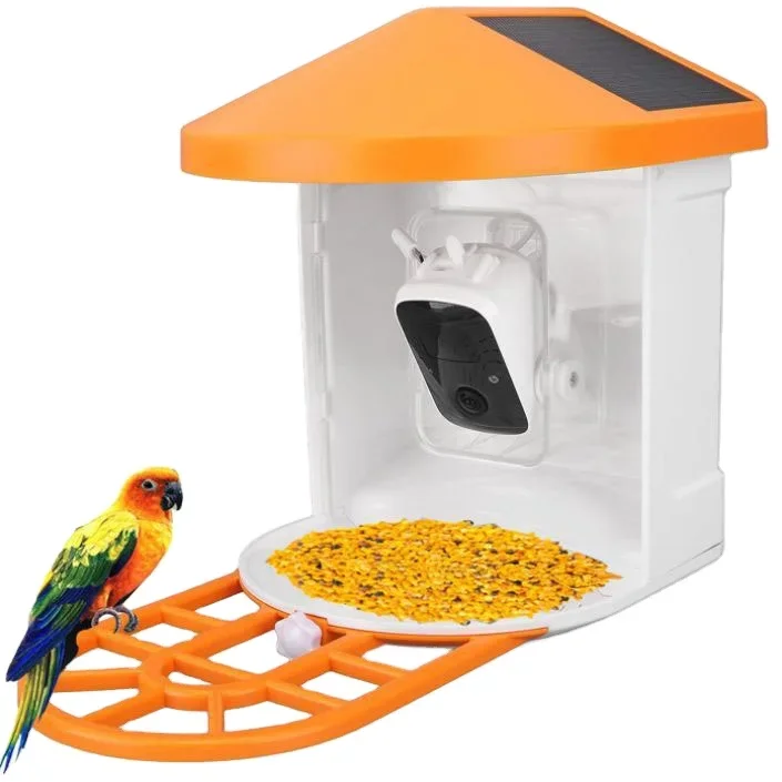 Small Pet Feeder Solar Battery Outdoor Camera AI Bird Recognizer Bird Feeders