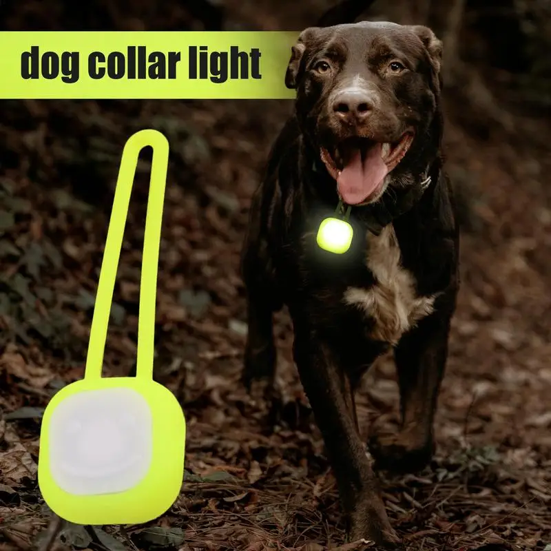 Lampe LED multifonctionnelle en silicone pour collier de chien, pendentif lumineux, fournitures pour animaux de compagnie, batterie 62