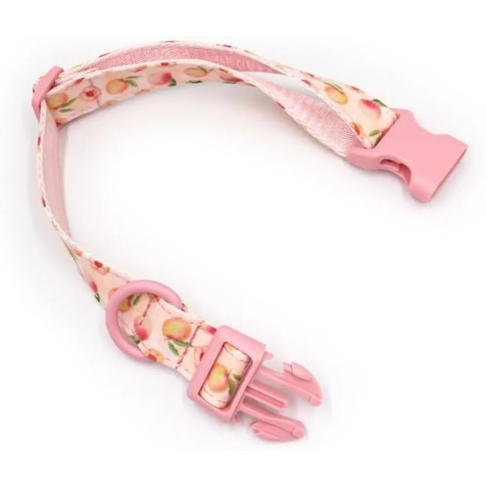 Personalised Dog Collar for Male Female Dogs Fruit Pattern Engraved Pet Collars with Name Personalized Collar for Puppy Kitten view 3