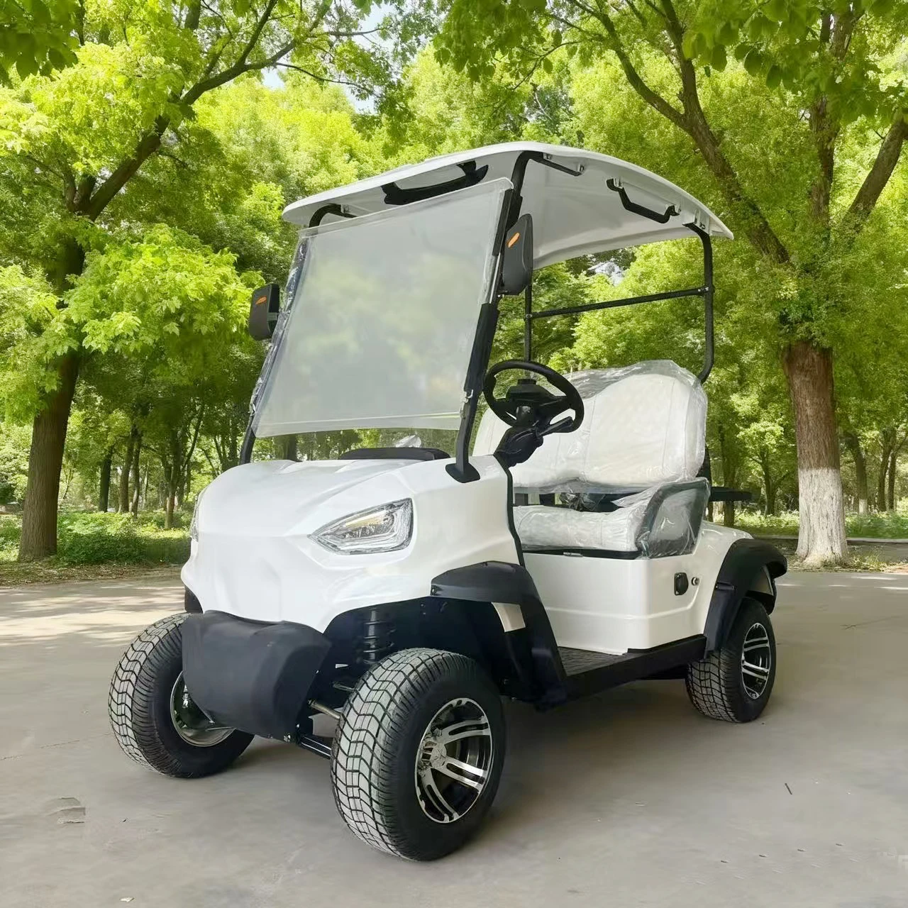 

Электрическая газовая тележка для гольфа 4X4, новый дизайн, алюминиевый корпус, литиевая батарея 60 В/72 В, сертифицированный CE/DOT дисковый тормоз, 2/4/6 мест для продажи