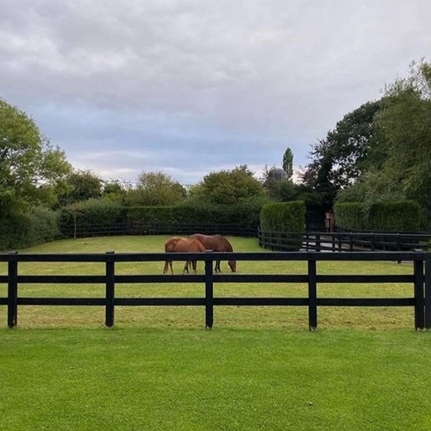 Vinyl Horse Fencing Roll Flexible Electric Horse Fence High Strength Farm Ranch Livestock Fencing UV Resistant Weatherproof