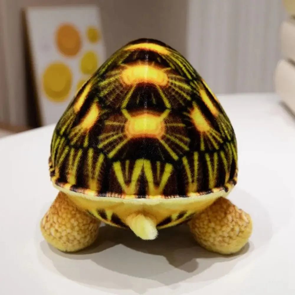 Simulado tartaruga tartaruga brinquedo de pelúcia dos desenhos animados macio tartaruga brinquedo de pelúcia 30cm tartaruga boneca lance travesseiro aniversário presentes de ano novo