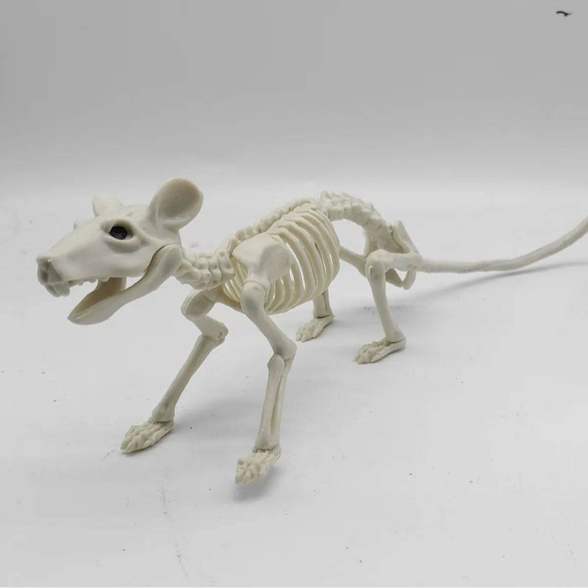 Halloween-Tierskelett-Modell: Katze und Maus, Gruselige Halloween-Dekoration, Requisiten für Geisterhäuser – Detail 11